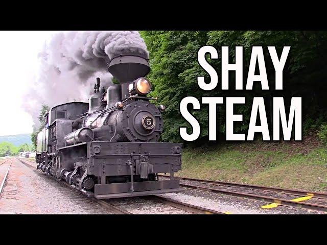 The Cass Scenic Railroad