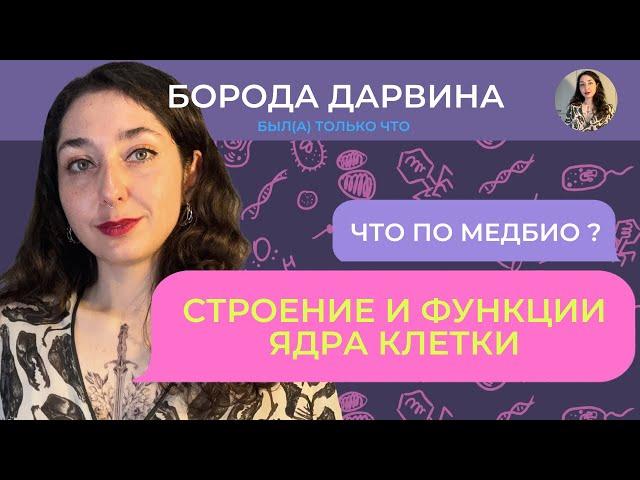 Строение и функции ядра. Медбио.