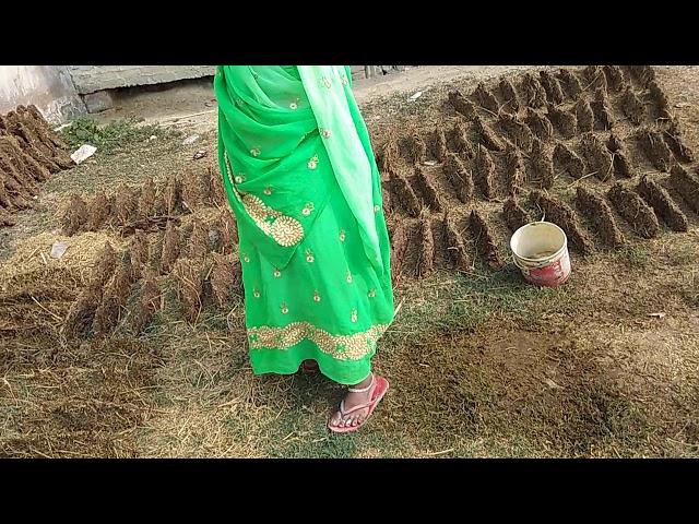 Cow  & Buffalo Dung Cakes