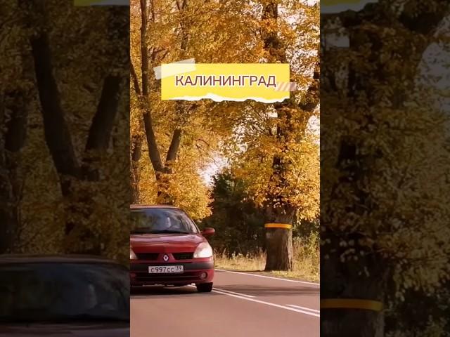 КАЛИНИНГРАД. Граница с литвой. Что можно посмотреть? #путешествия #калининград #trip #travel