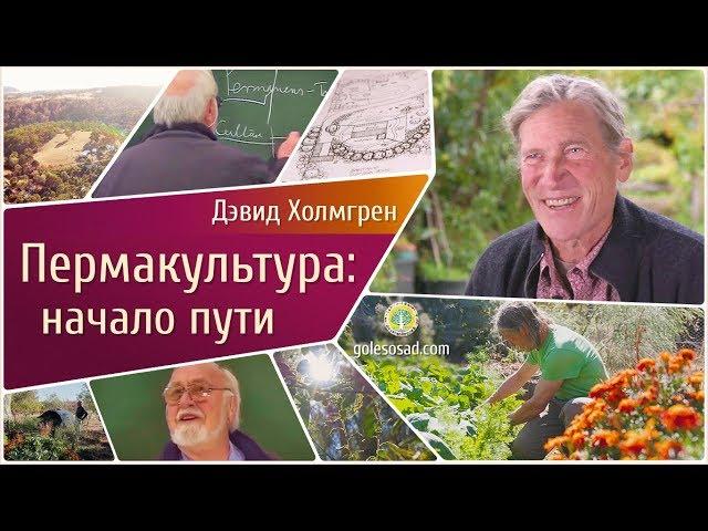 ПЕРМАКУЛЬТУРА: НАЧАЛО ПУТИ.