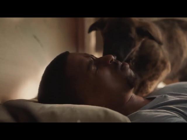 Samsung Bixby Commercial: Kevin L. Walker - "Rise and shine"