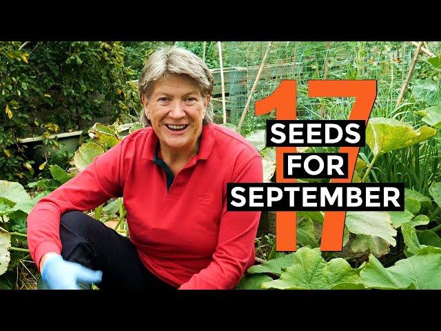 What to sow in September | Easy to grow | Veggie seeds for September