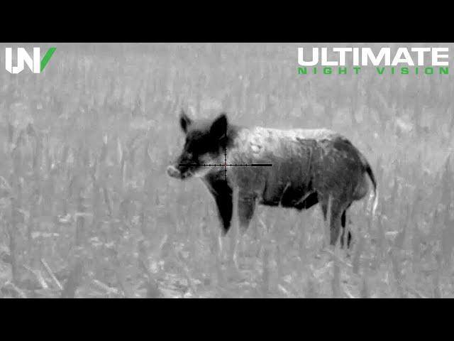 190 Hogs Down | Hog Hunting with Thermal