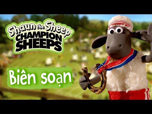 Biên soạn tập đầy đủ 1-7 | Championsheeps | Những Chú Cừu Thông Minh [Shaun the Sheep]