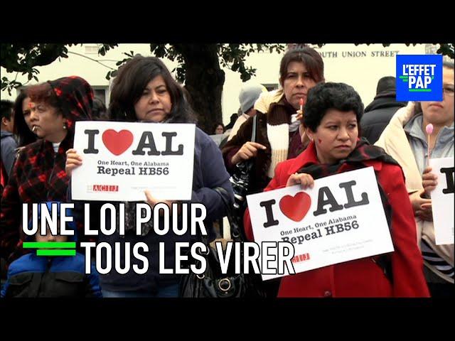 Immigrés ILLÉGAUX : même ces américains ne veulent pas de leur travail !