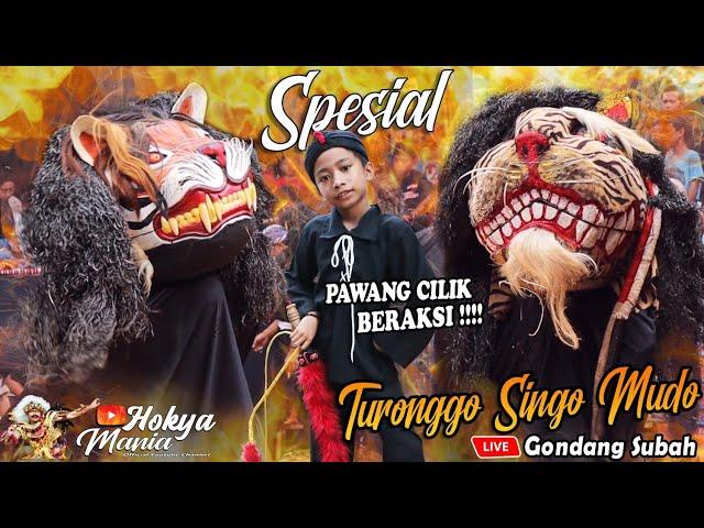 PAWANG CILIK BERAKSI‼️Pemain barongan ndadi semua | TSM Live Gondang Subah | Turonggo singo mudo