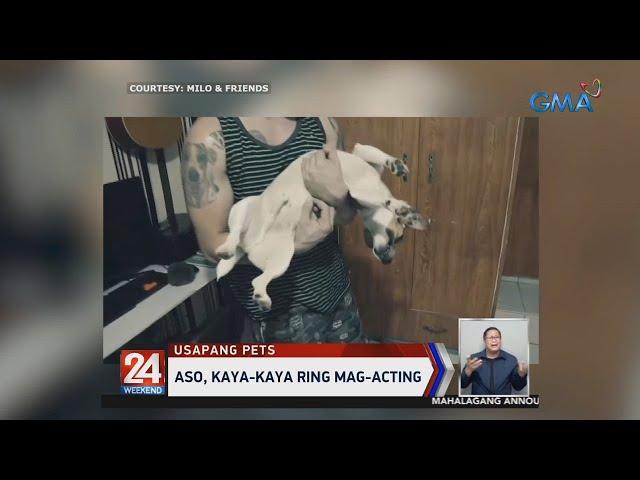 24 Oras: Aso, kaya-kaya ring mag-acting