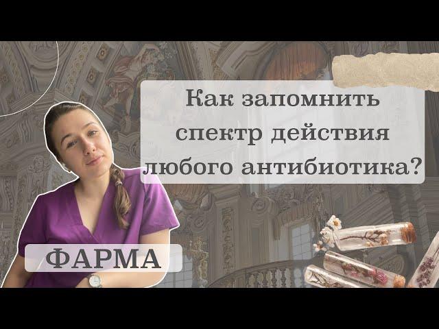 Как легко запомнить любой спектр антибиотика? | Фармакология