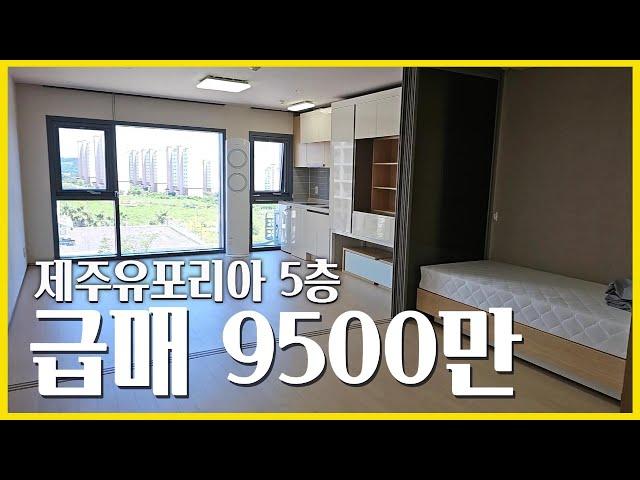 N.252401 서귀포시 서호동 제주유포리아지산 5층 초급매 9,500만 물건 소개합니다.