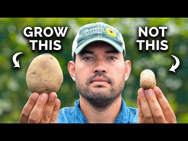 Watch This BEFORE You Plant Potatoes 