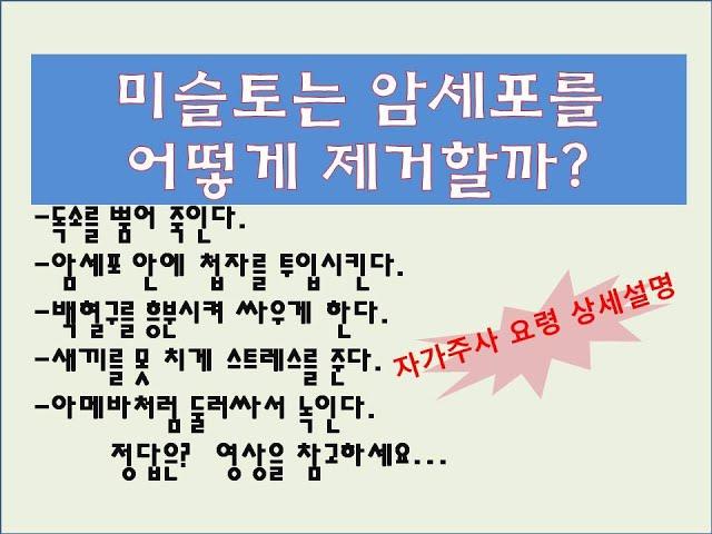 미슬토주사 어디까지 써봤니? 최신논문 리뷰와 자가주사 시전