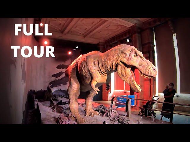 London WALK - Natural History Museum | FULL TOUR