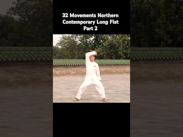 32 Movements Northern Contemporary Long Fist Part 2 #kungfu #WuShu #neuquen