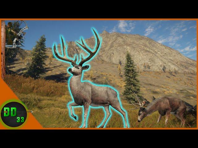 Tree Stand Hunting Blacktail Deer In The Hills Of Mount Leviathan! Call Of The Wild