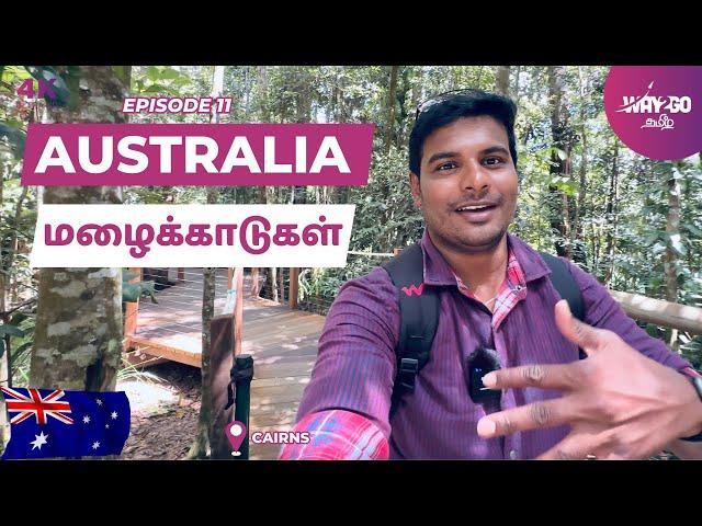 oldest Rainforest in the World | Cairns | Australia | Episode 11 | Way2go தமிழ்