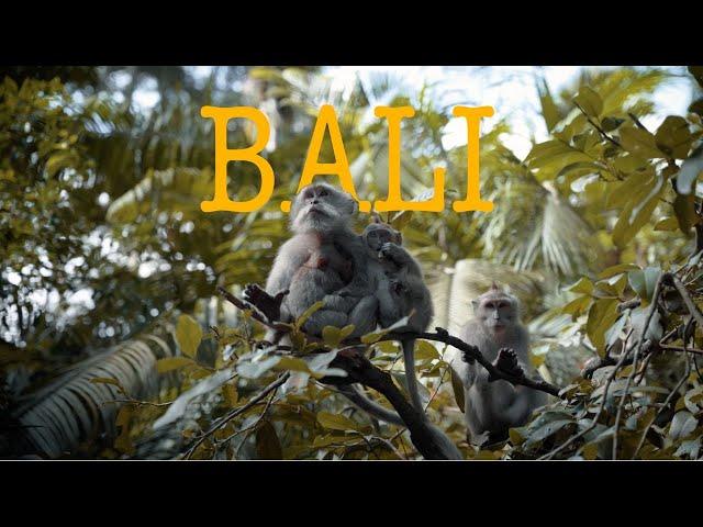 Hidden Bali: Incredible Sights Missed by Most Tourists!