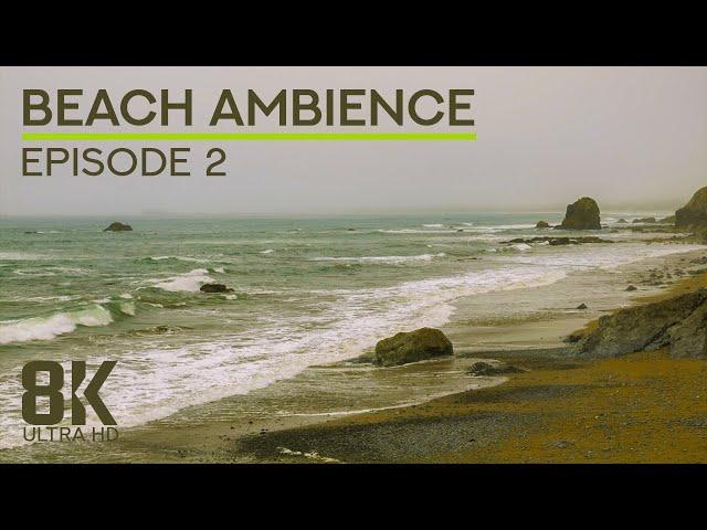 Beach Soundscape of the Pacific Ocean - 8K Scenic View to Enderts Beach, California - Episode 2