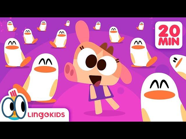 MOVE like a PENGUIN  Dance Songs for Kids! | Lingokids