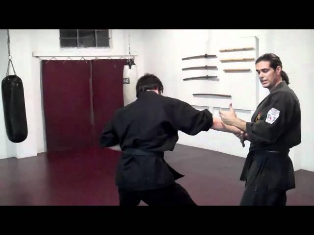 Combat Jujutsu ONE - Dr Patrick Price (Wrist Locks)