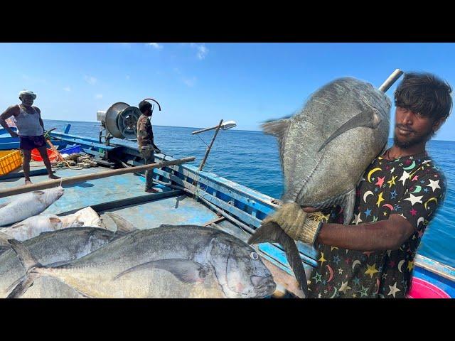 Amazing!!! Third Day We Caught Big Size Trevally Fish | மூன்றாம் நாள் ஆழ்கடலில் பிடித்த பெரிய பாறை