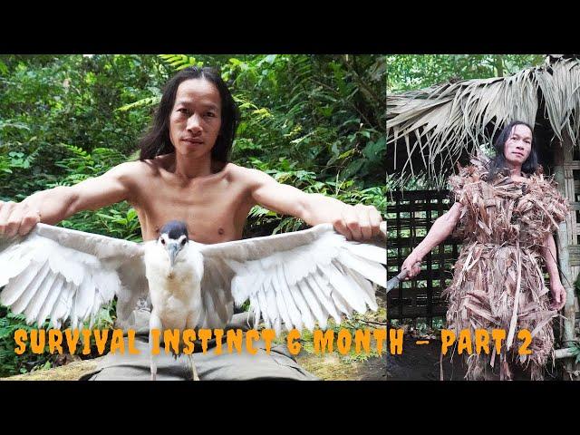 Survival Instinct - The 6 Month Survival Challenge In The Jungle - part 2