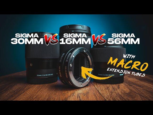 Sigma 16mm v 30mm v 56mm Macro Photography (Meike Extension Tubes)