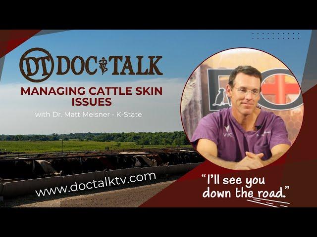 DocTalk Ep 581 - Managing Cattle Skin Issues with Dr. Matt Meisner