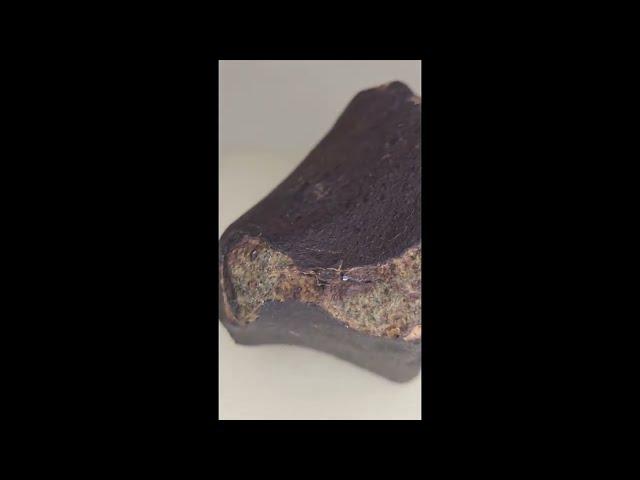 Meteorite ordinary chondrite fresh