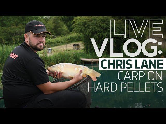 LIVE VLOG | Chris Lane | Pellets Short | Match Fishing