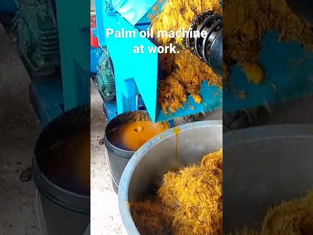 palm oil processing