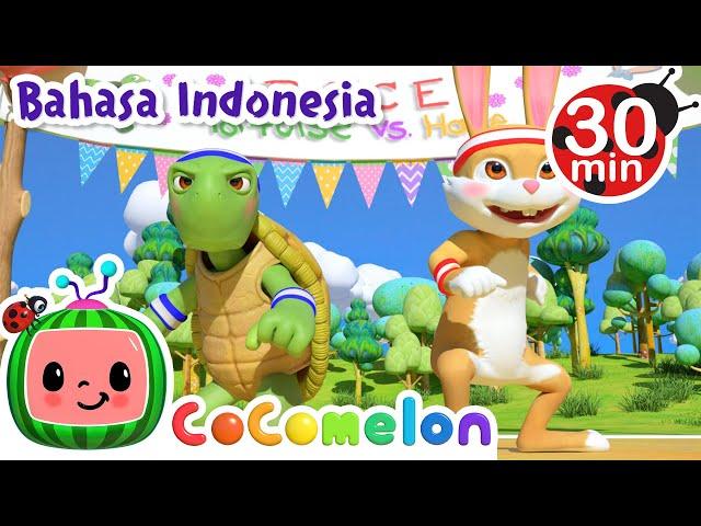 Kura-kura dan Kelinci | CoComelon Bahasa Indonesia - Lagu Anak Anak | Cerita Klasik Anak Indonesia