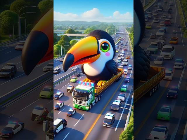 ️ Evolution of Catapillar: Big Toco Toucan Bird Transporting  #cat #cute #love #shorts