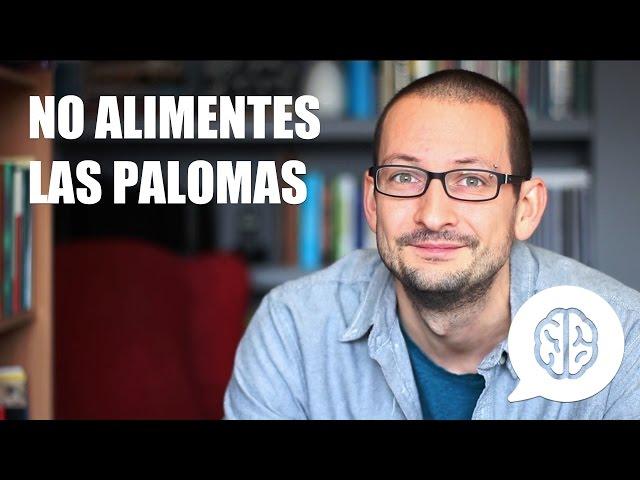 No alimentes las palomas: cómo controlar los pensamientos negativos.