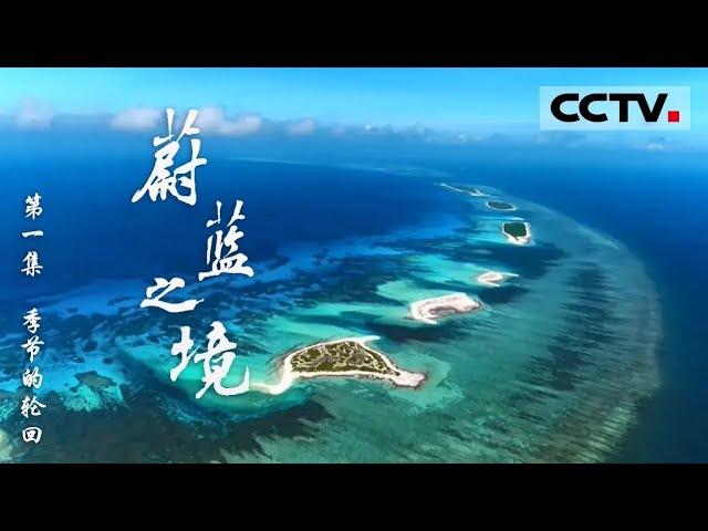 《蔚蓝之境》第一集 海洋是众多生灵赖以生存的家园 但为何生命却面临海洋残酷的考验？【CCTV纪录】