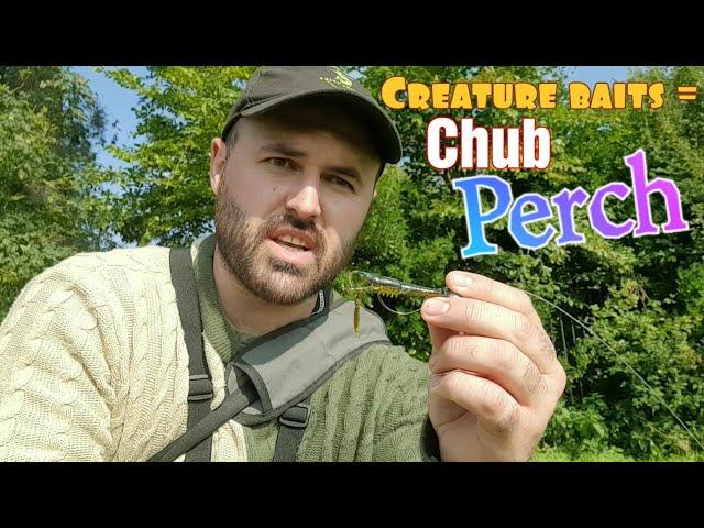 lure fishing with creature baits - chub and perch candy