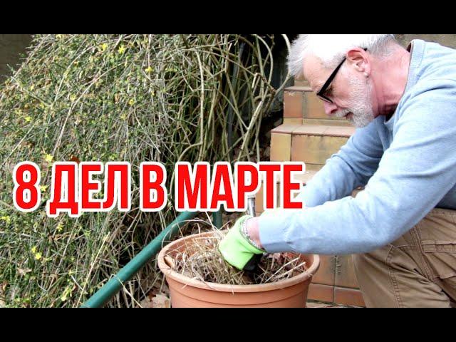 8 important gardening tasks in March / Igor Bilevich