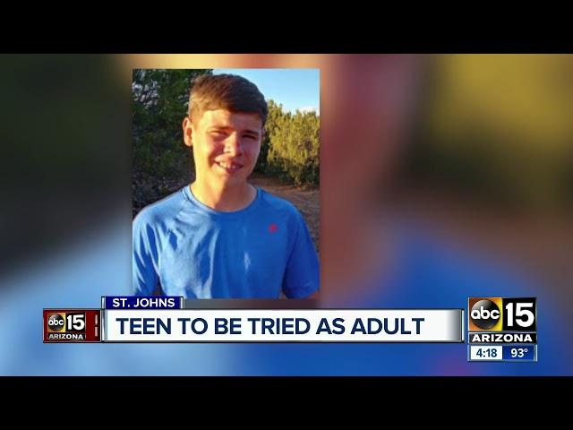 Teen accused of murdering woman to be tried as adult