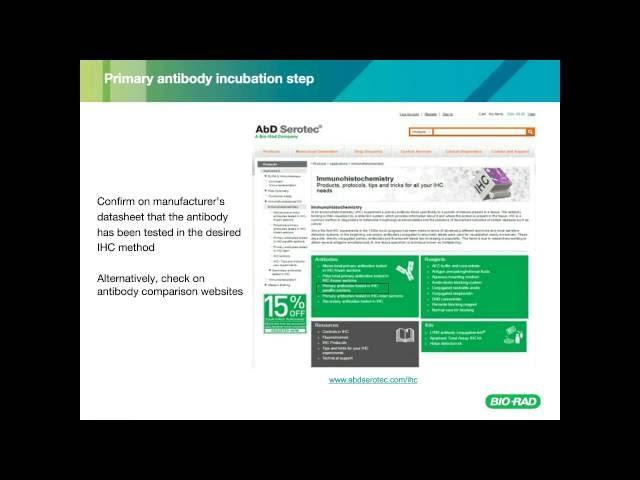 Mastering Immunohistochemistry Staining Experiments