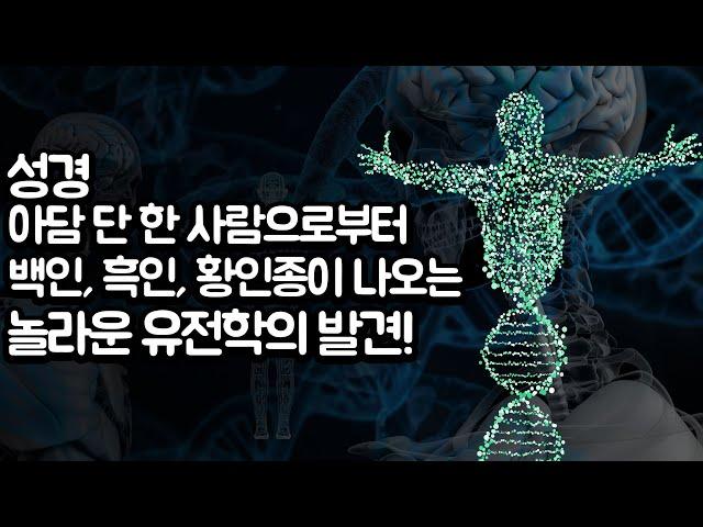 성경 아담 단 한 사람으로부터백인, 흑인, 황인종이 나오는 놀라운 유전학의 발견!