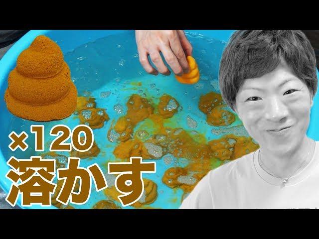 セイキン、ついにうんち120個水に溶かす。