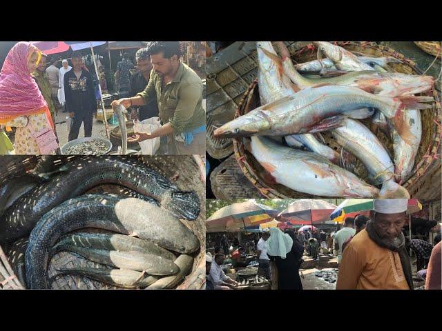 A December Morning at Sylhet Bateshwar Fish Market