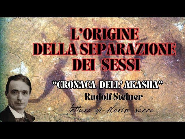 L'ORIGINE DELLA SEPARAZIONE DEI SESSI - TRA UOMO E DONNA    - CRONACA DELL' AKASHA- R. Steiner