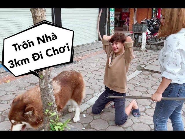 Mật Trốn Nhà 3km Đi Chơi Làm Chủ Chạy Đi Tìm Náo Loạn Khu Phố - Mật Pet Family