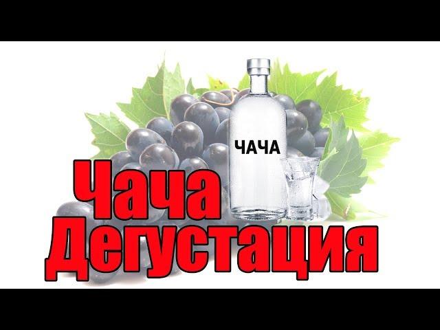 Дегустация Чачи