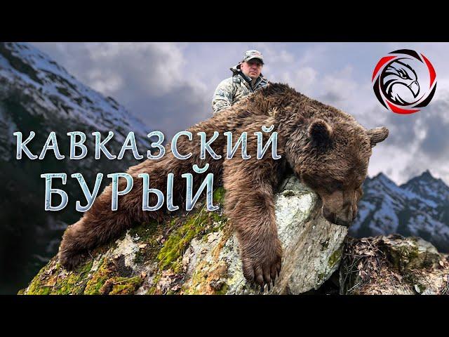 Trophy Hunting: Caucasian Brown Bear