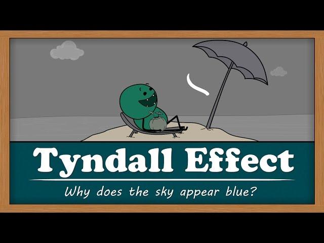 Tyndall Effect - Why does the sky appear blue? | #aumsum #kids #science #education #children