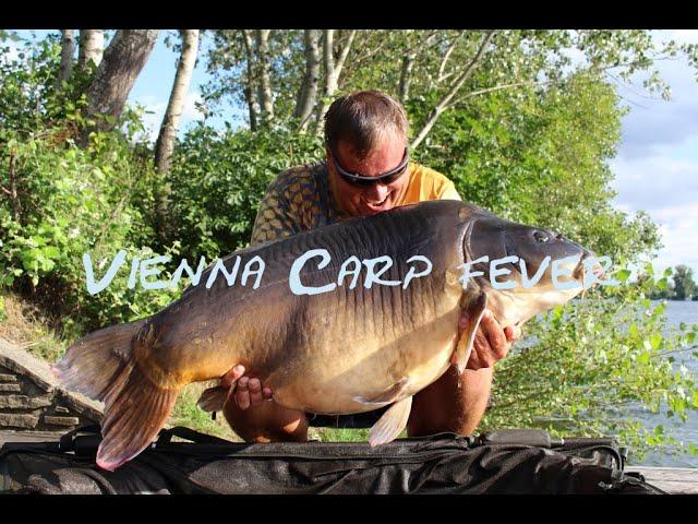 Vienna Carp Fever