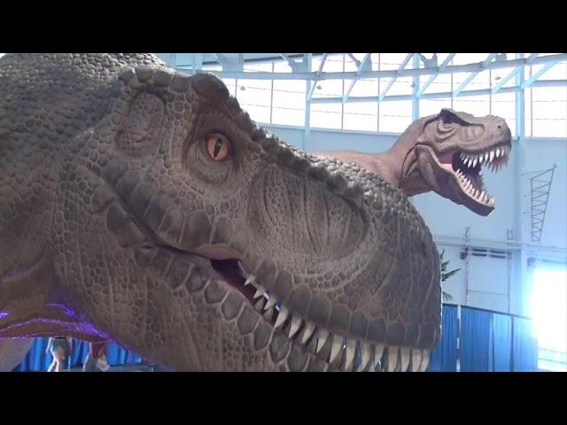 PSVR/QUEST 3D: DINOSAUR EXPEDITION - NY State Fair