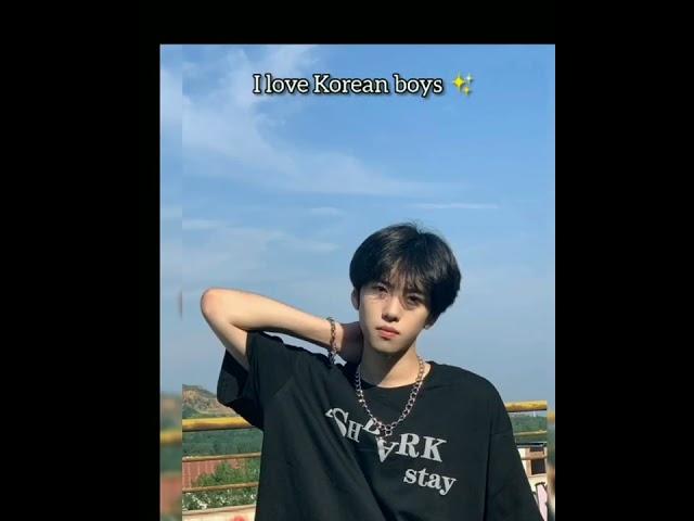 i love Korean boys but BTS fan boy 